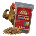 GrubFuel - Black Soldier Fly Larvae for chickens