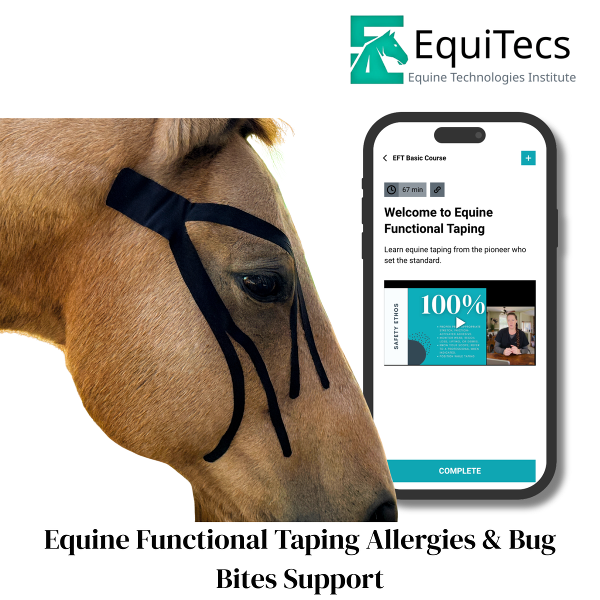 EquiTecs EFT Application Library - App