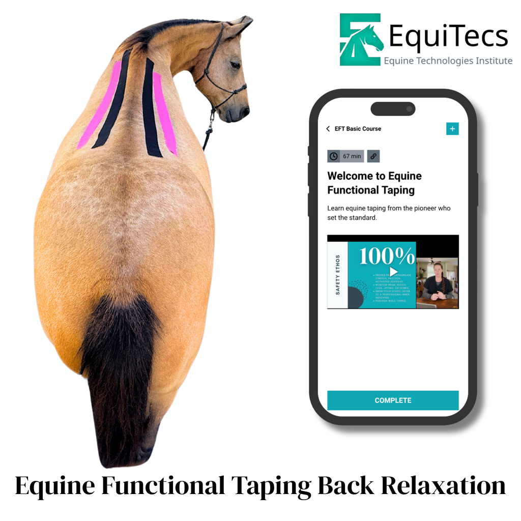 Equine Functional Taping Certification Course — 20 CE Hours