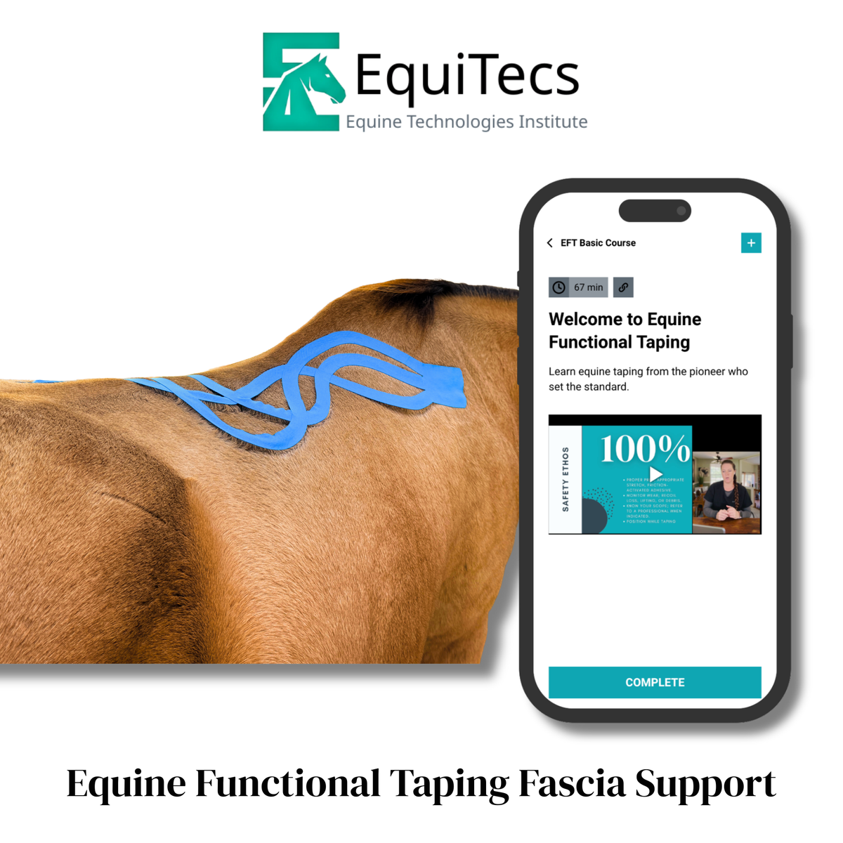 EquiTecs EFT Application Library - App