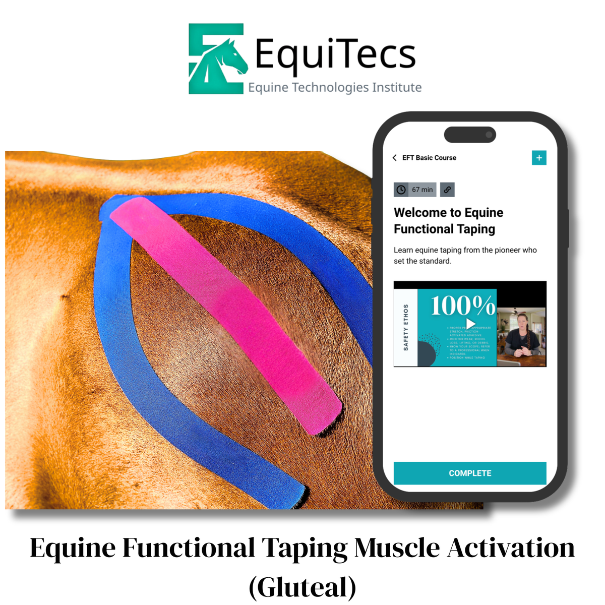 Muscle Activation (Gluteal)