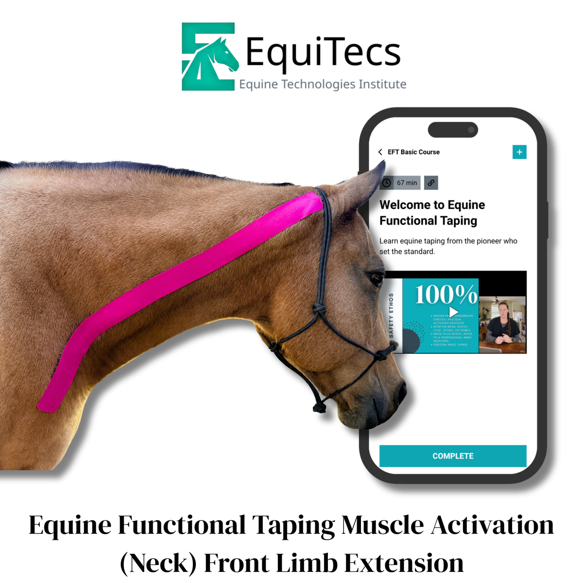 EquiTecs EFT Application Library - App
