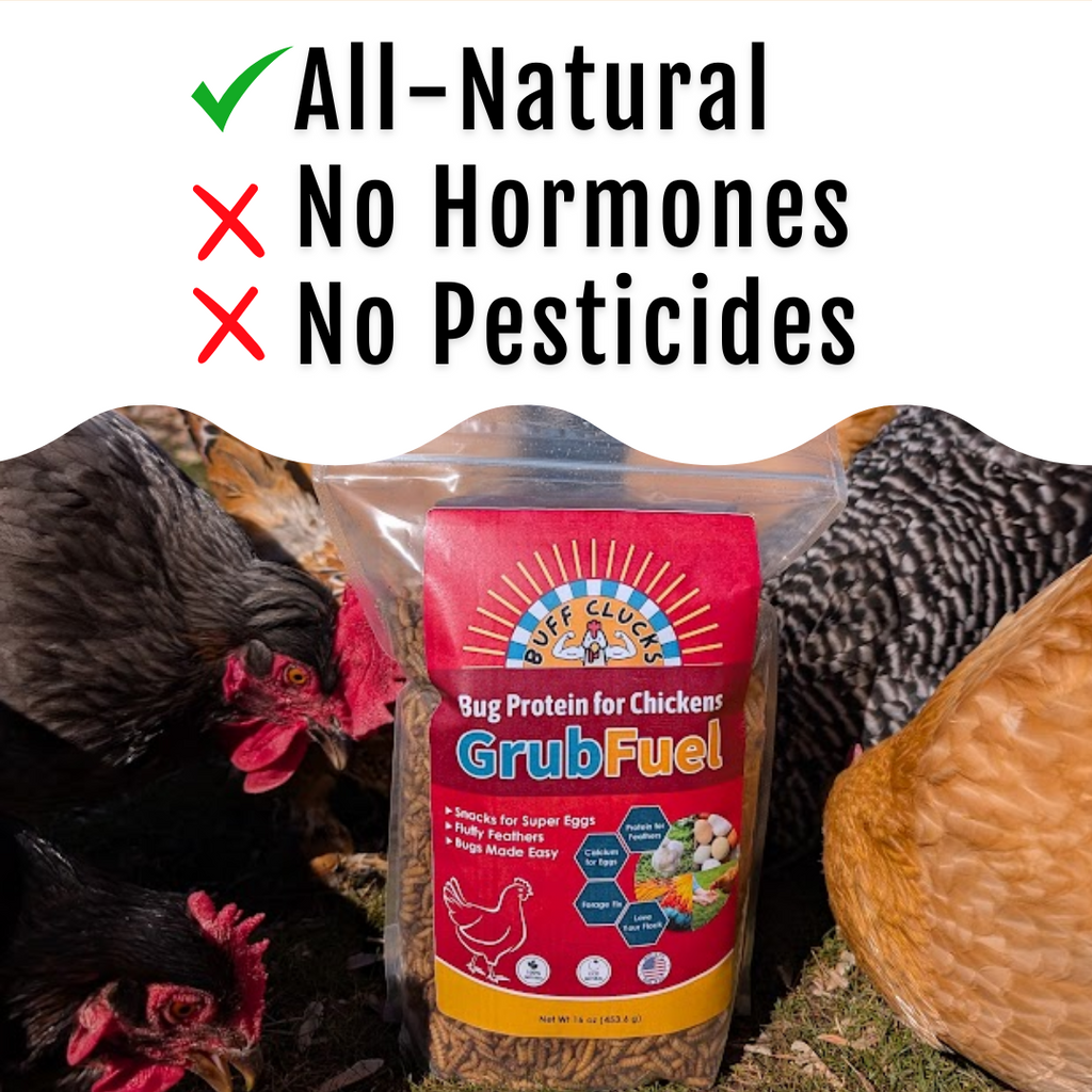 GrubFuel - Black Soldier Fly Larvae for chickens